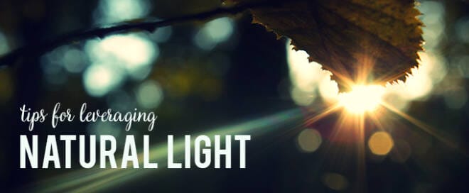 Tips For Leveraging Natural Light in Your Photography