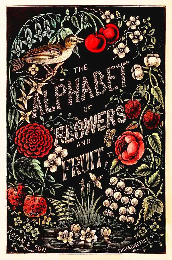 The Alphabet of Flowers and Fruit