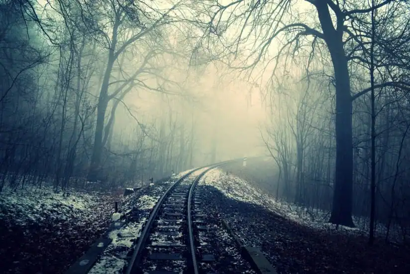 tracks