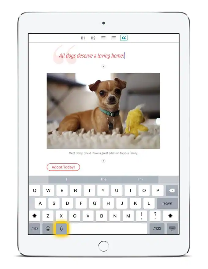 adding_text_is_easy_with_the_voice_to_text_feature