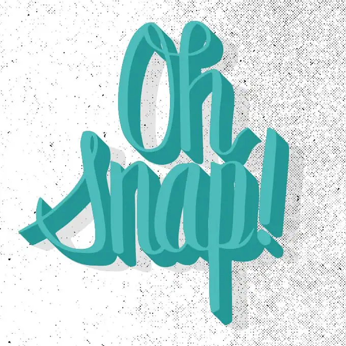 snap-final