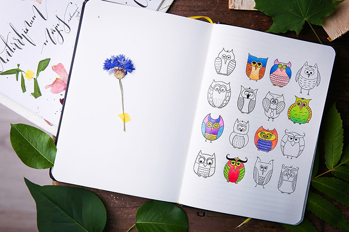 Free Coloring Book for Designers - Creative Market Blog