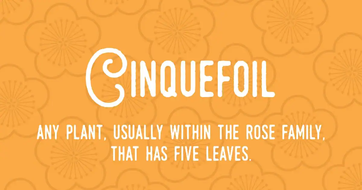 Cinquefoil