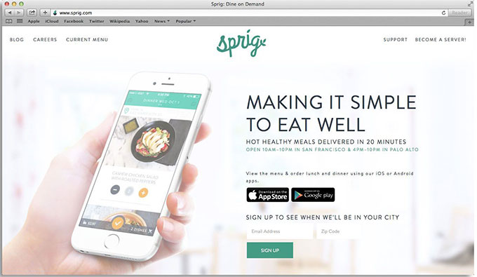 Sprig-Mobile-Web-Branding