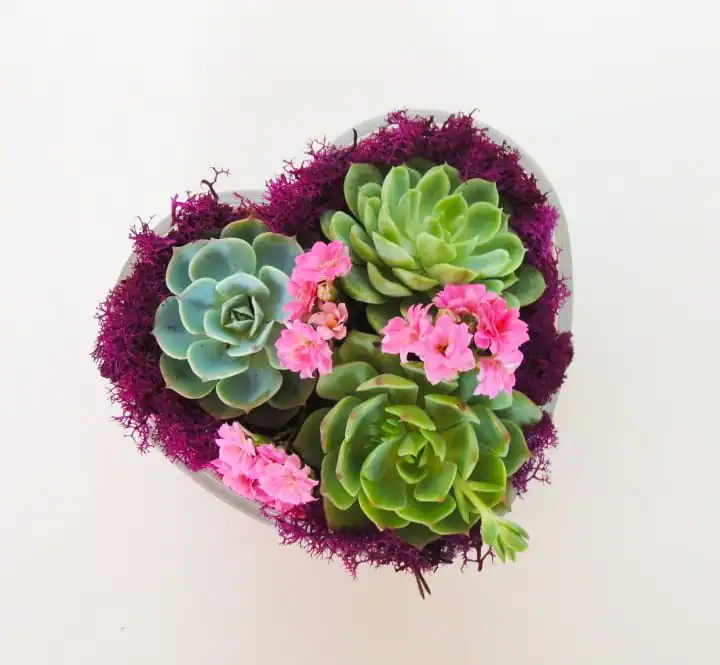 Valentines_Day_Bouquets-17