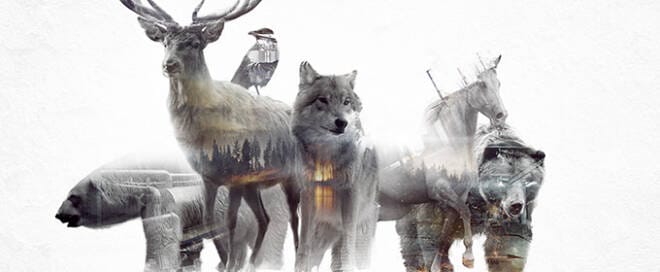 Artist Creates Stunning Cinemagraphs of Animals And Nature