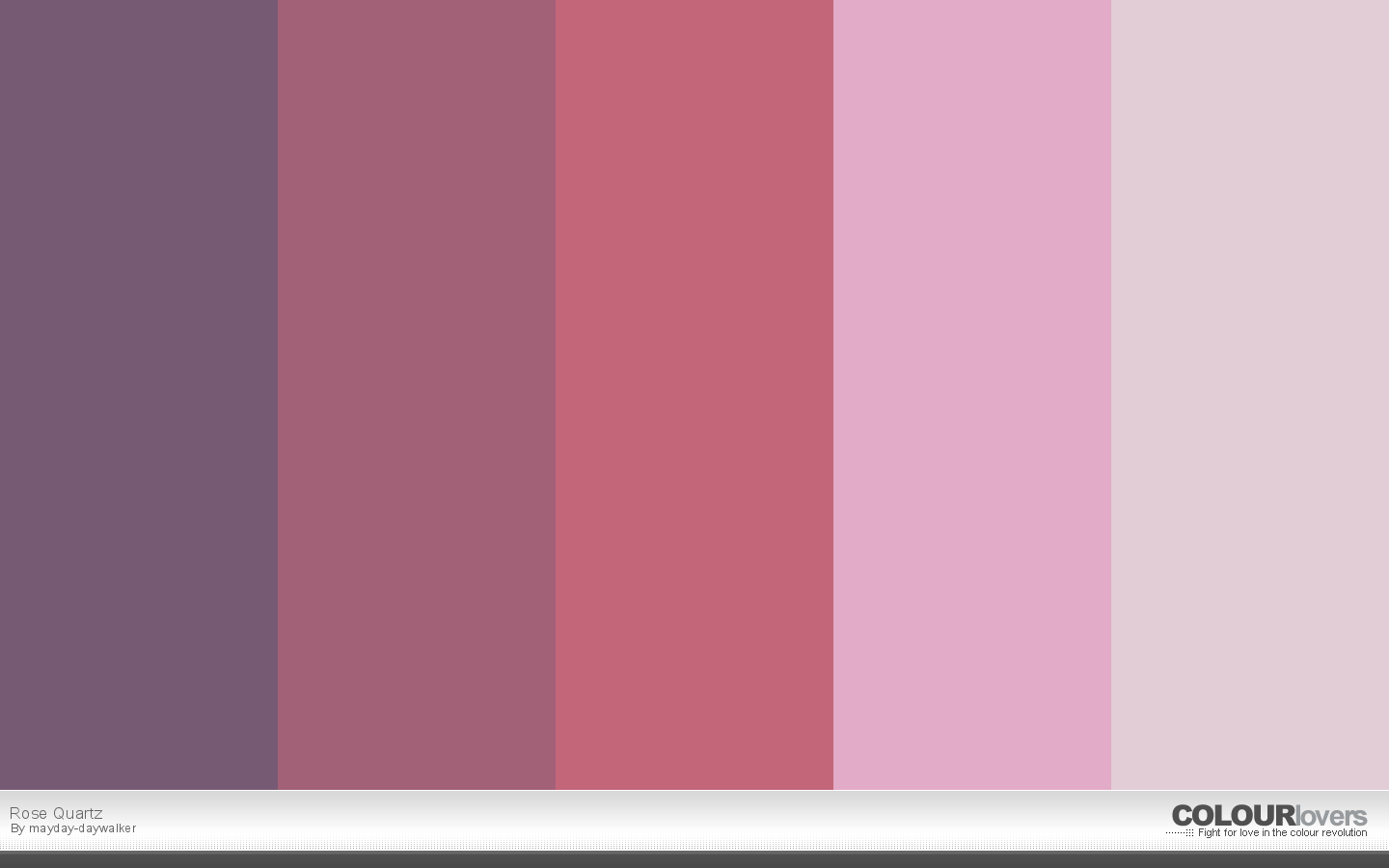 Bold Color Palettes to Try