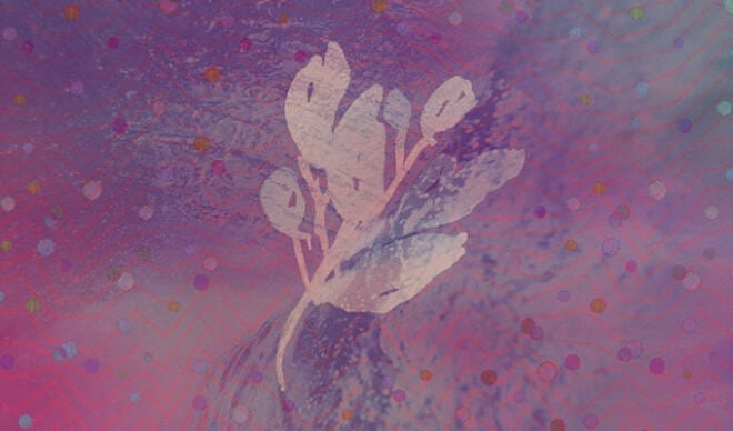 June Big Bundle: Over $1,400 in Design Goods For Only $39!