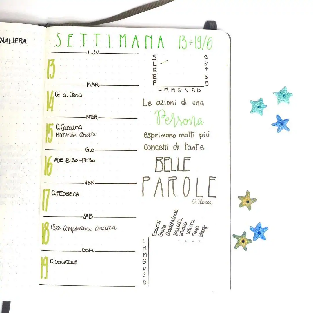 Neat Planners of Instagram