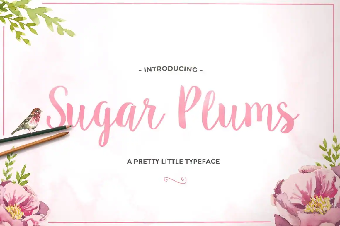 Sugar Plum Script
