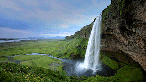 nature
