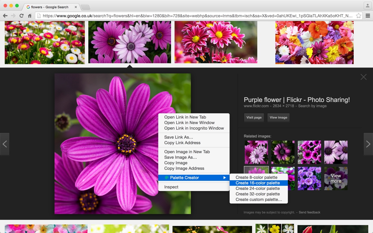 chrome-extensions-web-designers-2