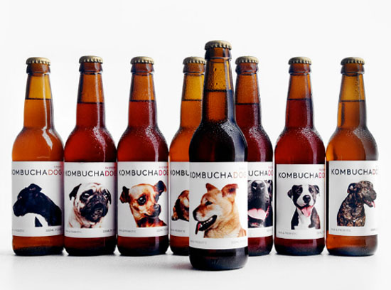 Kombucha Dog packaging