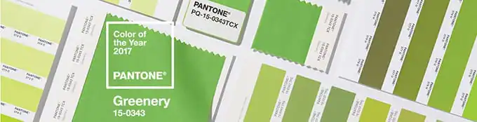 Pantone Color of the Year 2017