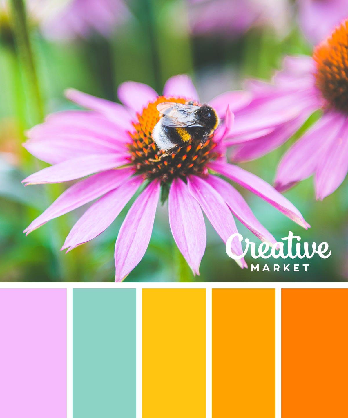 Fresh spring color palette color swatch  Canvas Print for Sale by