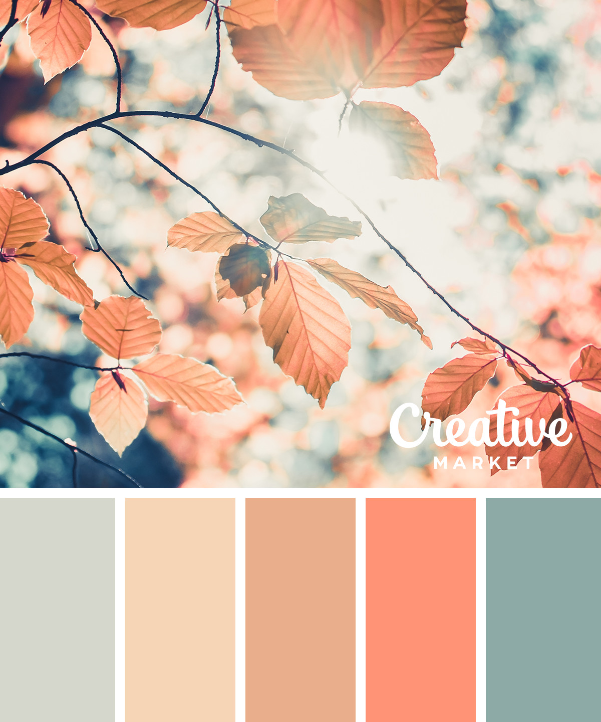 15 Downloadable Color Palettes For Fall - Creative Market Blog