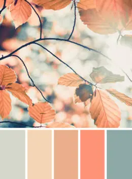 Pinterest