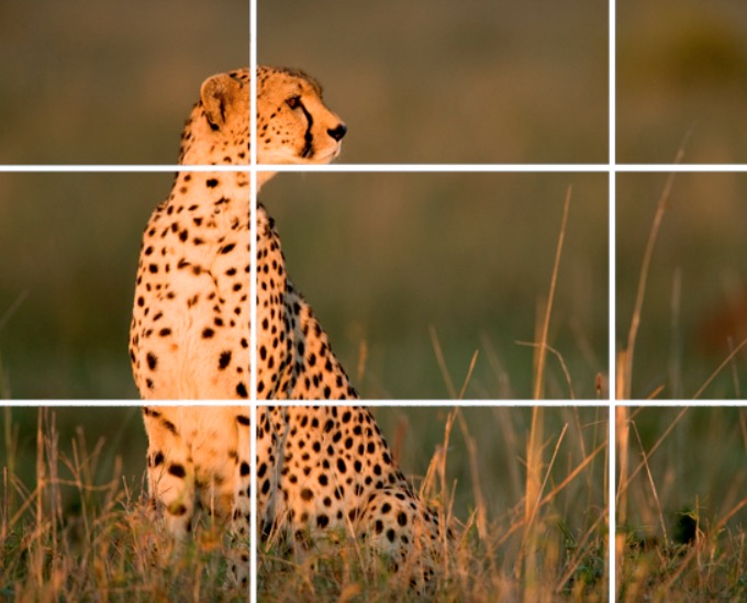 How to Use the Rule of Thirds for Stunning Photography 