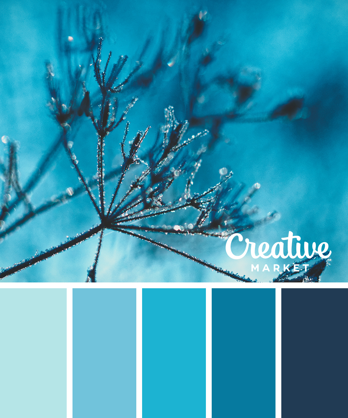 Featured image of post Winter Color Palettes With Hex Codes : Over 71022 color palettes listed created by color hex users, discover the new color palettes and the color scheme variations.