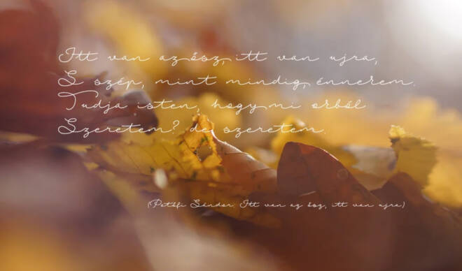 20 Fall Fonts That Evoke Autumn, Foliage & Harvests