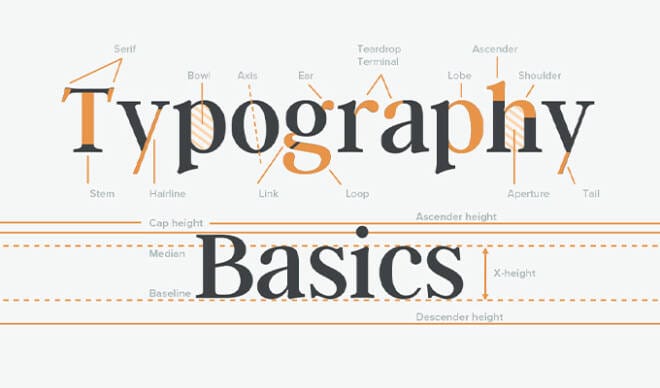 Free Typography Basics Cheatsheet: Anatomy, Classification & Special Terms