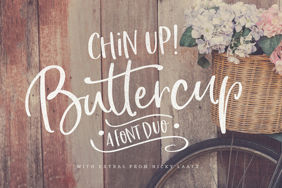Chin Up Buttercup font duo by Nicky Laatz (7)