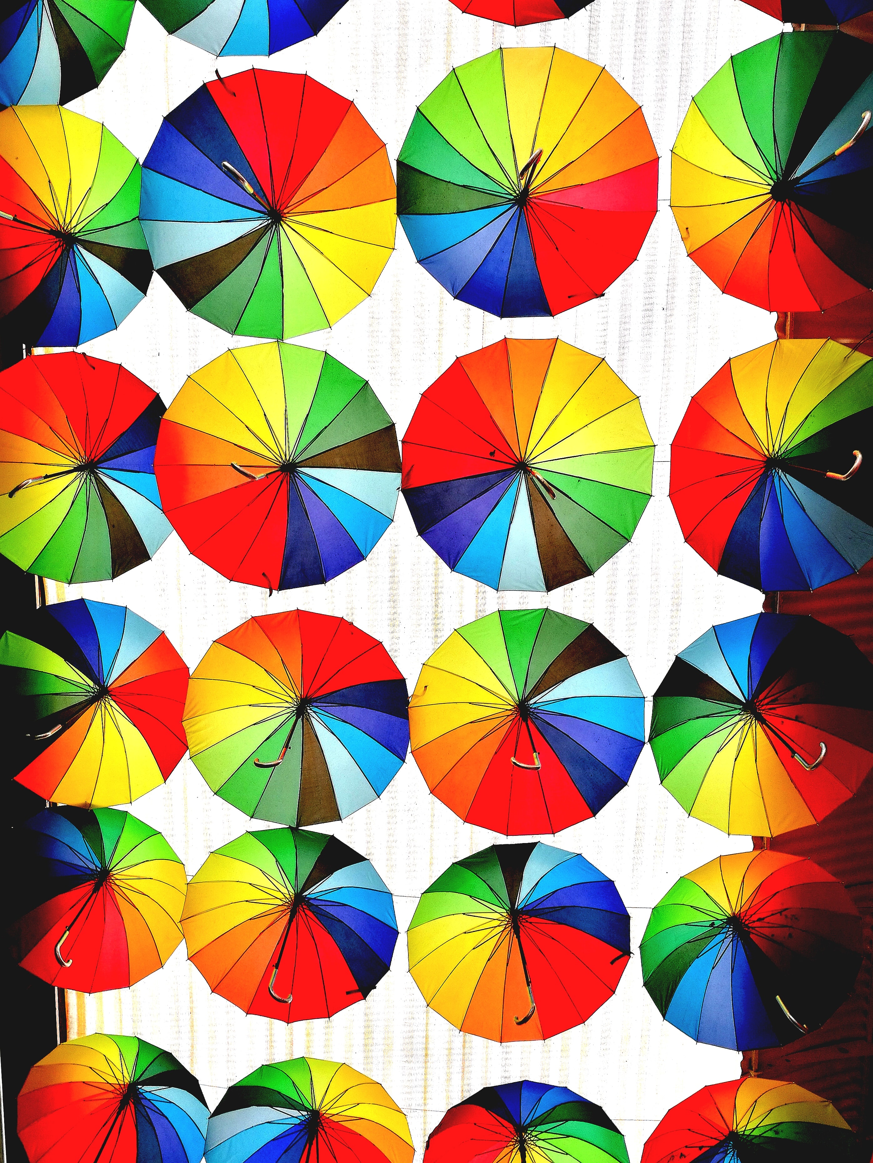 Hue, Tint, Tone and Shade. What's the difference? Color Wheel Artist  Secrets Revealed