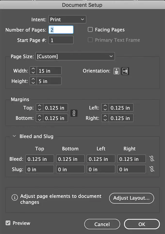 InDesign's document setup options