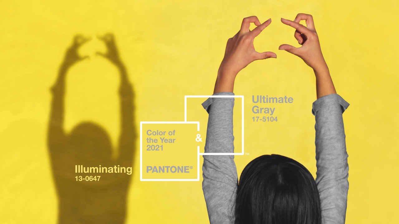 PANTONE® USA  What is Color?