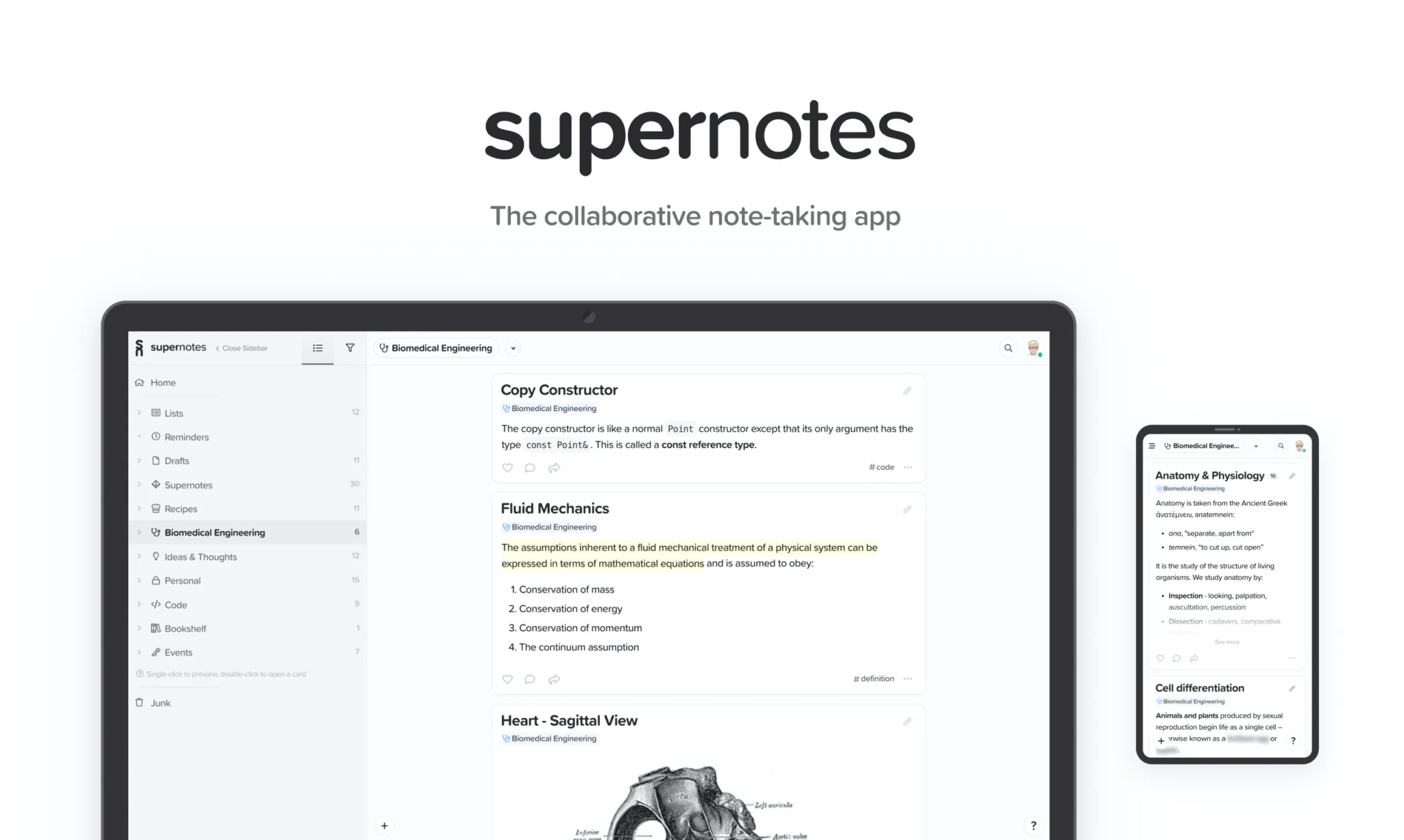 12 Well-Designed Notes App Choices for Creatives - Creative Market Blog