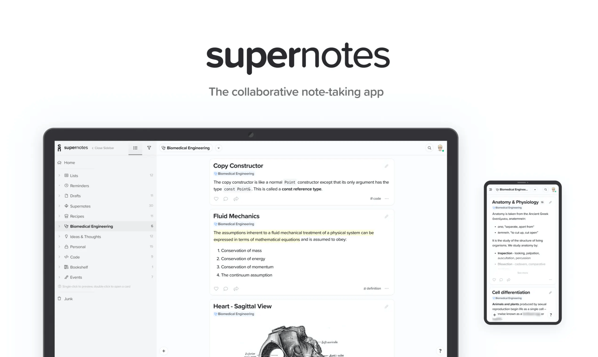12 Well-Designed Notes App Choices for Creatives - Creative Market Blog