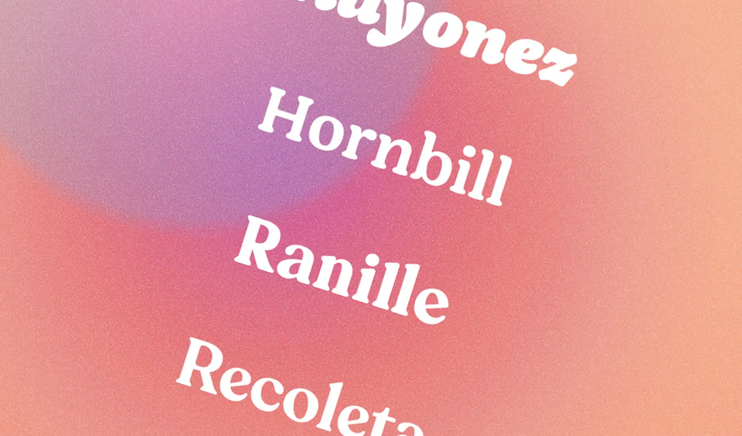 A Delightful Collection of Rounded Serifs With a Retro Feel A Delightful Collection of Rounded Serifs With a Retro Feel