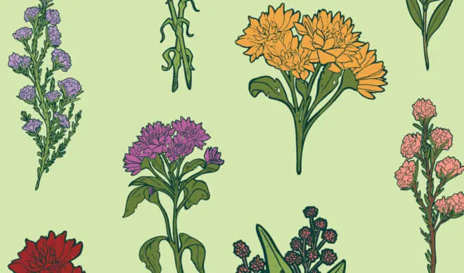 11 Art Nouveau Graphic Design Ideas for Your Inspiration