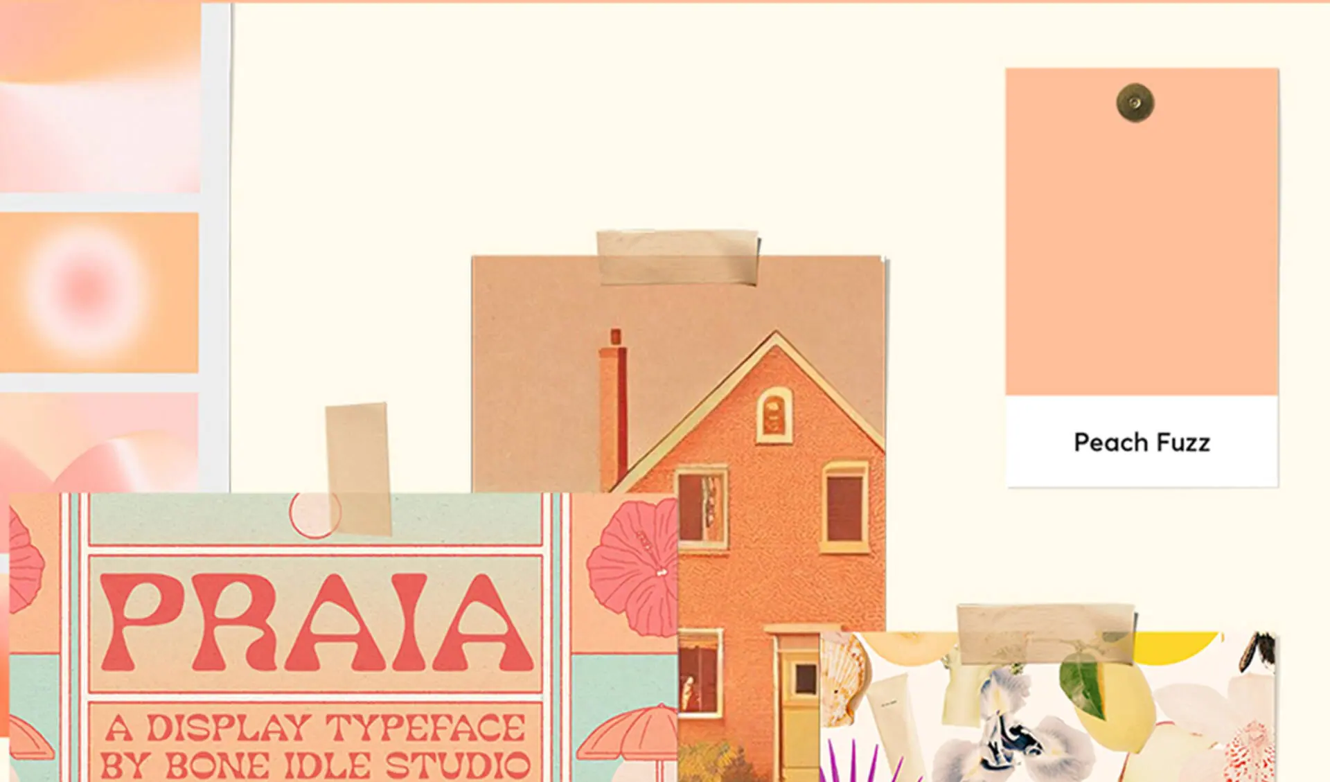 Discover Peach Fuzz, Pantone’s Color of the Year for 2024 Discover Peach Fuzz, Pantone’s Color of the Year for 2024