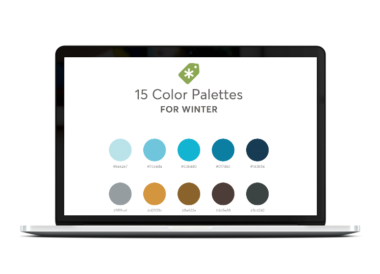 15 Winter Color Palettes