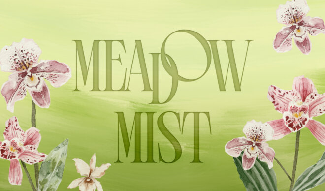 Introducing Our Color of the Season: Meadow Mist