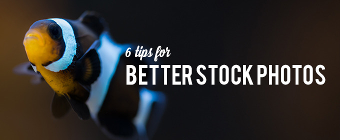 6 Tips for Better Stock Photos