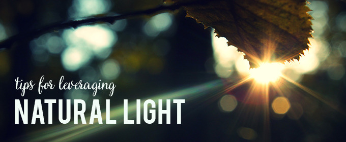 Tips For Leveraging Natural Light in Your Photography