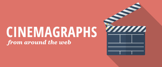 Amazing Cinemagraphs from Around the Web