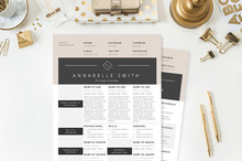 20 Resume Templates That Look Great In 2015