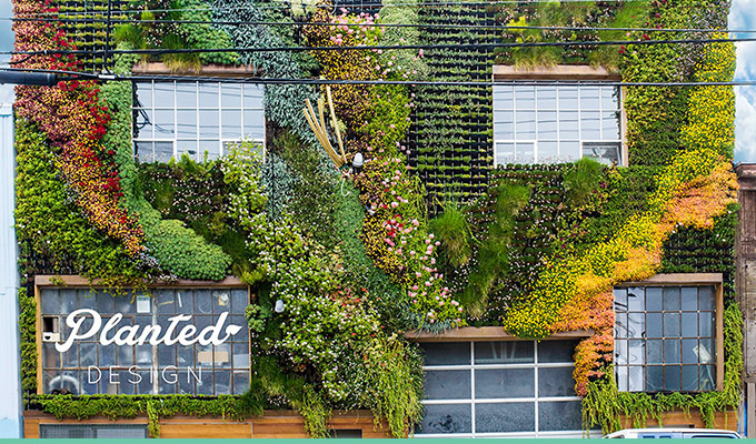 10 Stunning Green Walls That Make A Space Come Alive