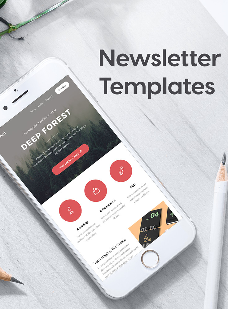 business email newsletter templates