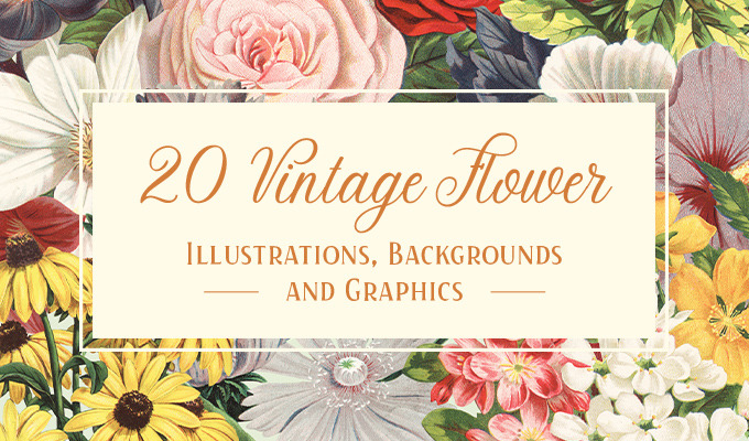 20 Vintage Flower Illustrations, Backgrounds, and Graphics