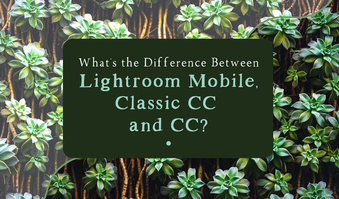 What's the Difference Between Lightroom Mobile, Classic CC and CC?
